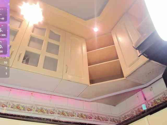 Marian-Reynolds webcam