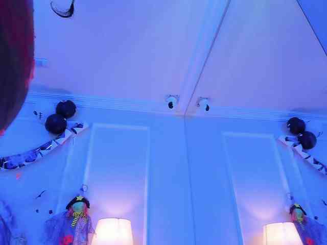 Marian-Reynolds webcam