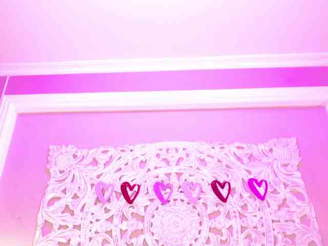 Marian-Reynolds webcam