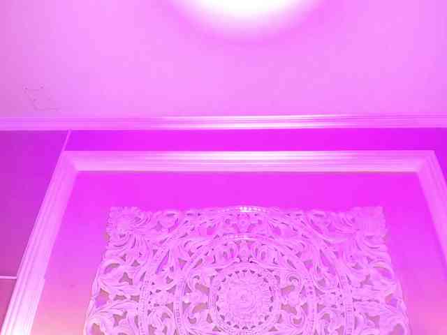 Marian-Reynolds webcam