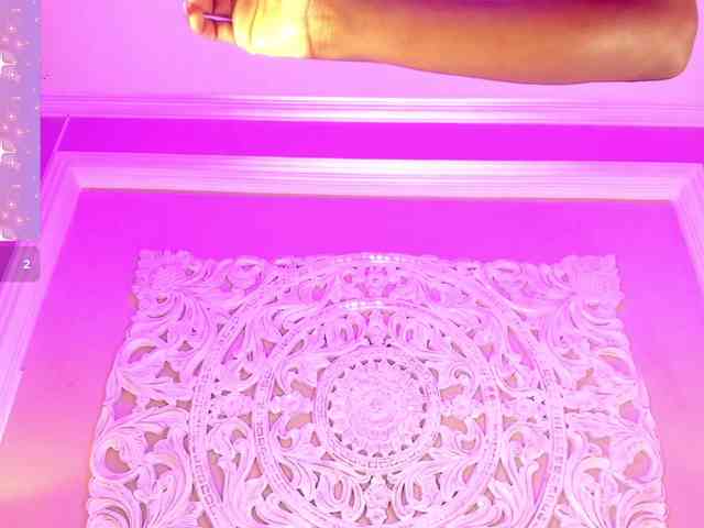 Marian-Reynolds webcam