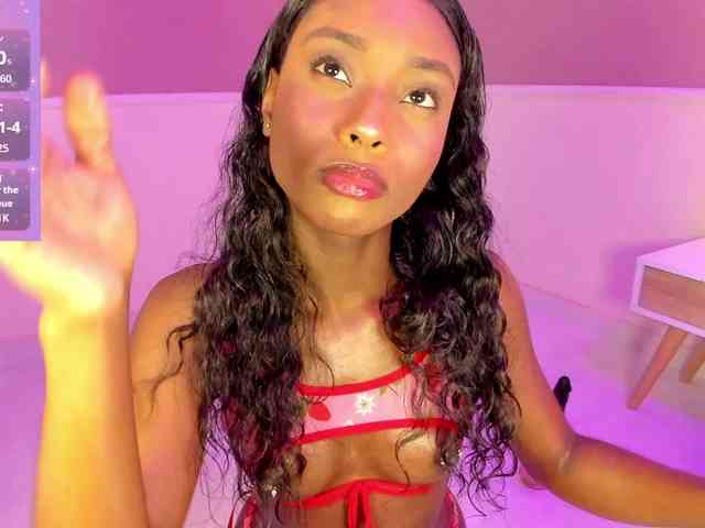 Marian-Reynolds webcam