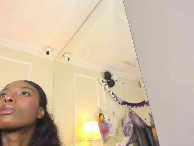 Marian-Reynolds webcam