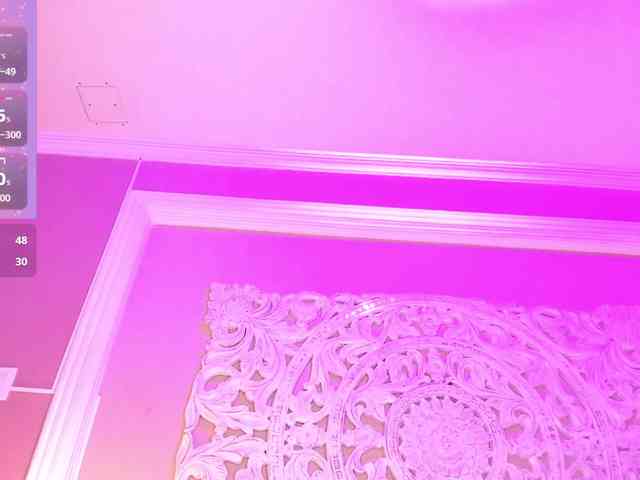 Marian-Reynolds webcam