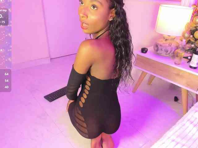 Marian-Reynolds webcam