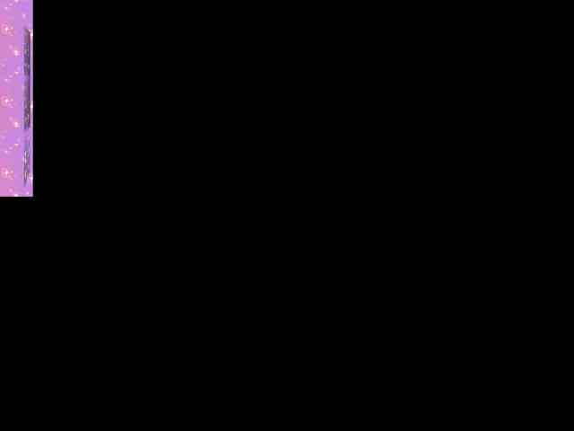 Marian-Reynolds webcam