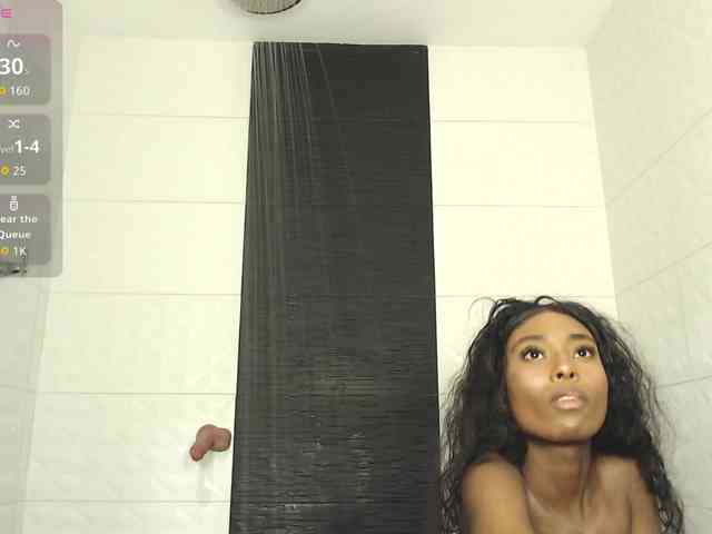 Marian-Reynolds webcam