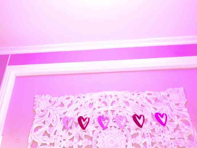 Marian-Reynolds webcam