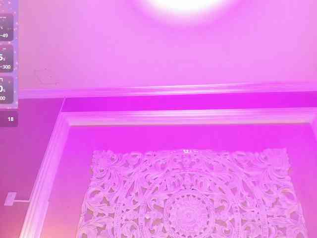 Marian-Reynolds webcam