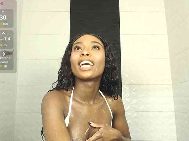 Marian-Reynolds webcam