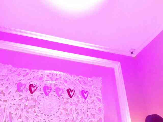 Marian-Reynolds webcam