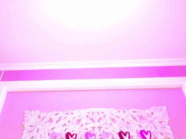 Marian-Reynolds webcam