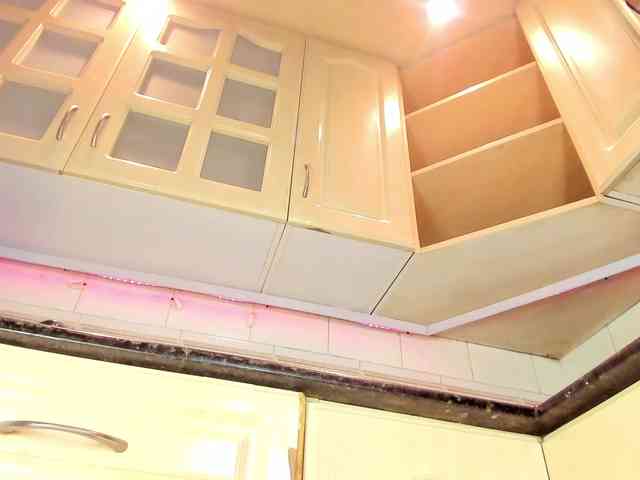 Marian-Reynolds webcam