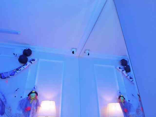 Marian-Reynolds webcam