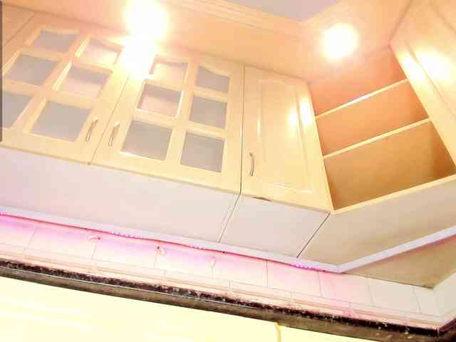 Marian-Reynolds webcam