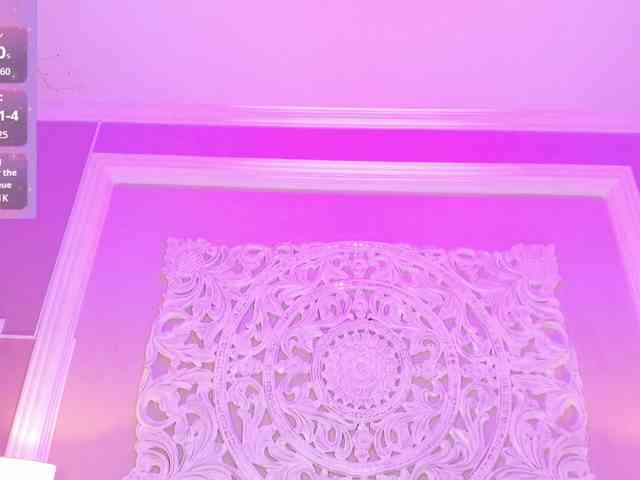 Marian-Reynolds webcam