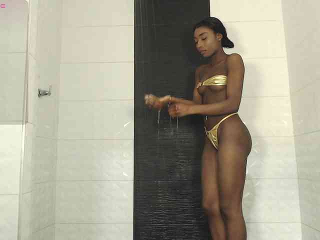 Marian-Reynolds webcam