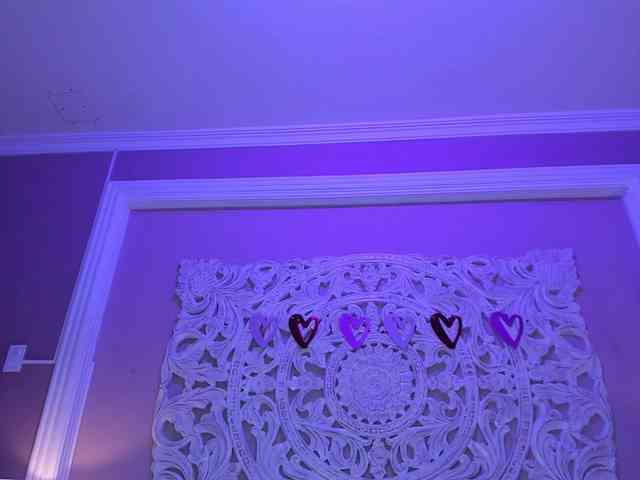 Marian-Reynolds webcam