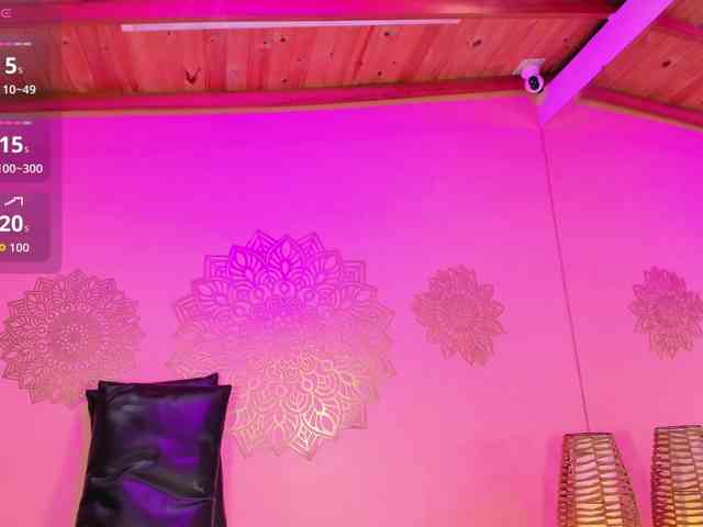 Marian-Reynolds webcam