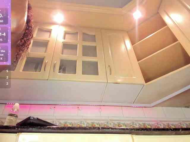 Marian-Reynolds webcam