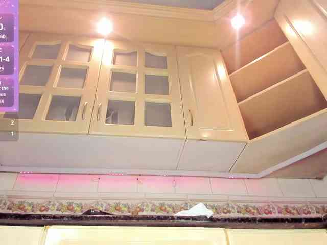 Marian-Reynolds webcam