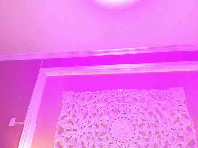 Marian-Reynolds webcam