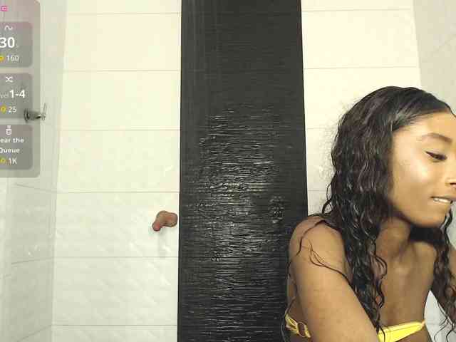 Marian-Reynolds webcam