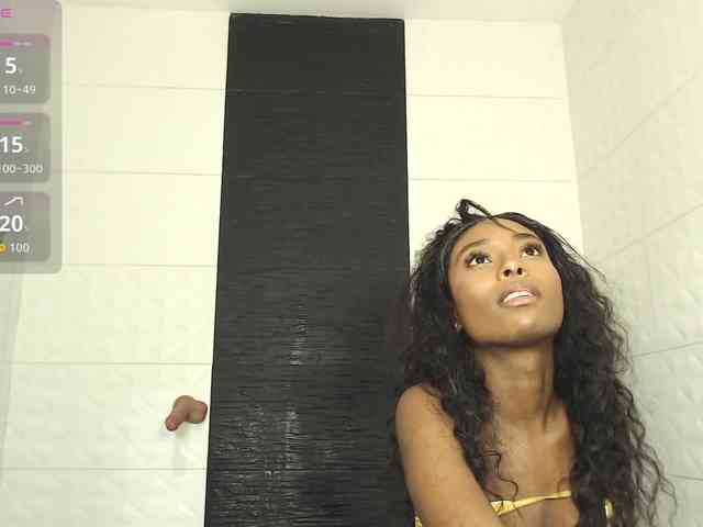 Marian-Reynolds webcam