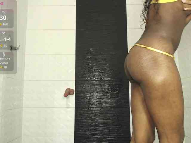 Marian-Reynolds webcam