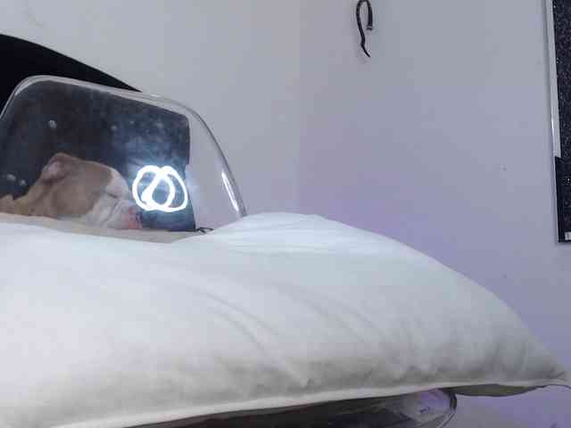 Angel-ink-333 webcam