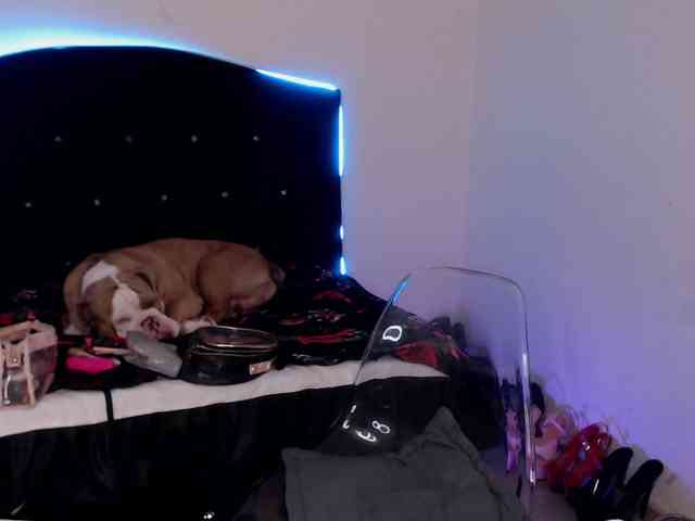 Angel-ink-333 webcam