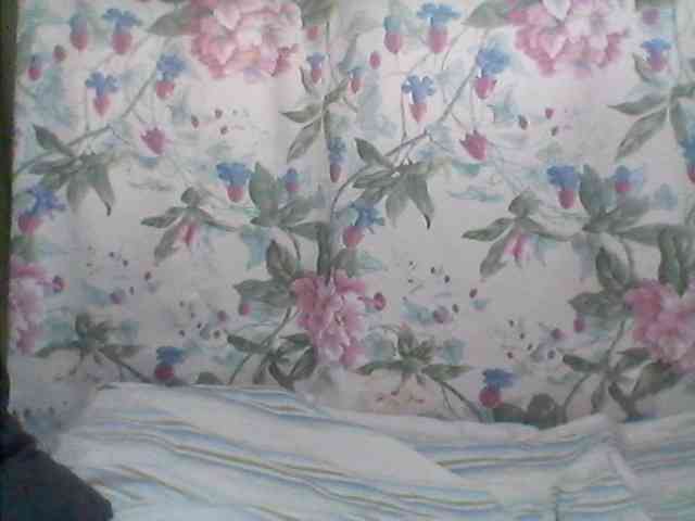 Andreaxs webcam