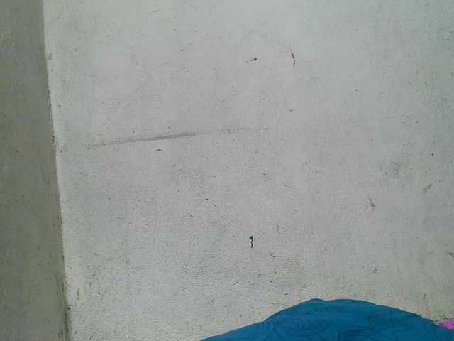 Urcule's BongaCams show and profile