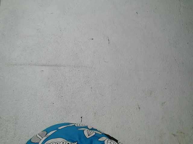 Urcule's BongaCams show and profile