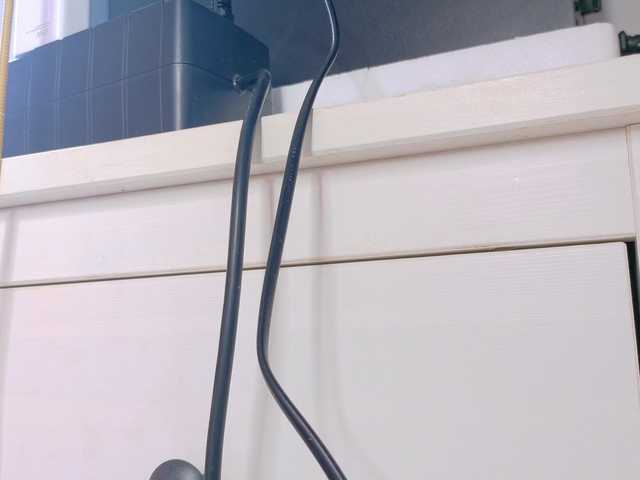 Preview of selenegibson