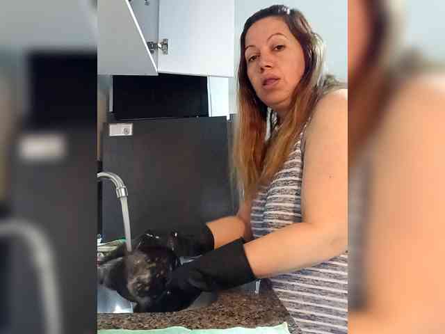 Vanedancex Vanedancex