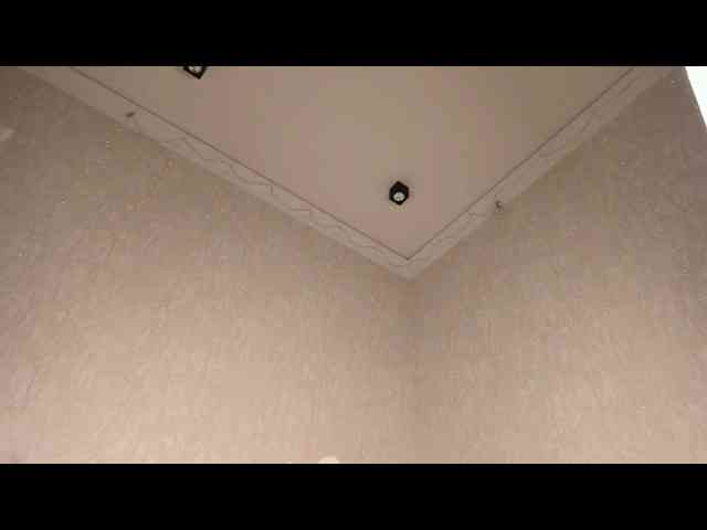 Danikamoon Danikamoon