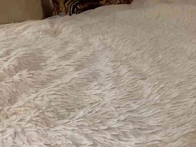 AnnaMariaMM AnnaMariaMM