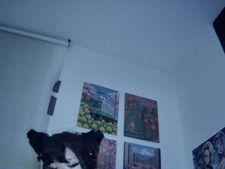 Harudeyong Porn Show