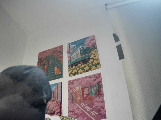  Harudeyong chat room