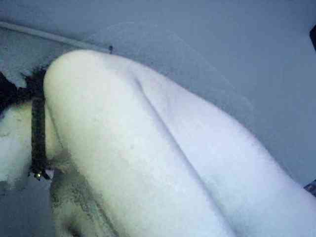 Harudeyong Harudeyong