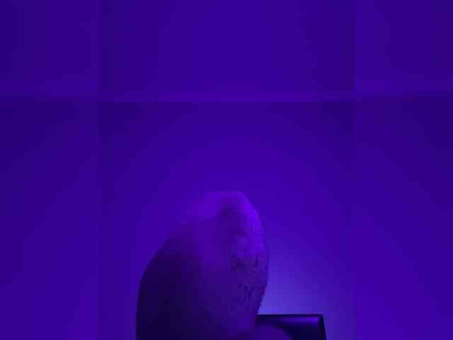 Night-Move1 Night-Move1