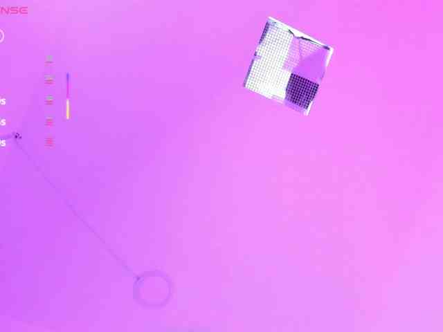 Violetdior Violetdior