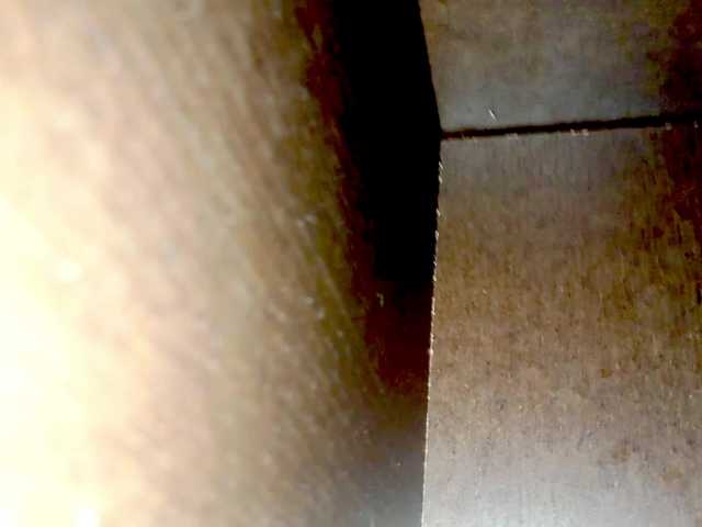 PetiteIvoryqueens's BongaCams show and profile