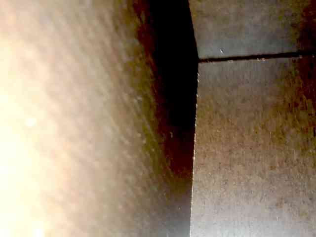 PetiteIvoryqueens webcam