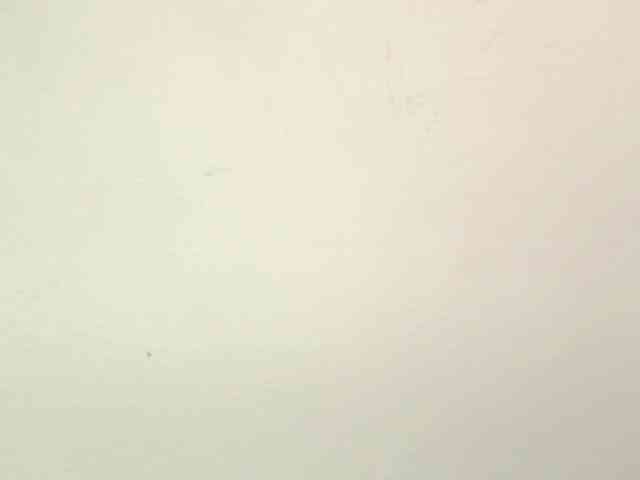 PetiteIvoryqueens webcam