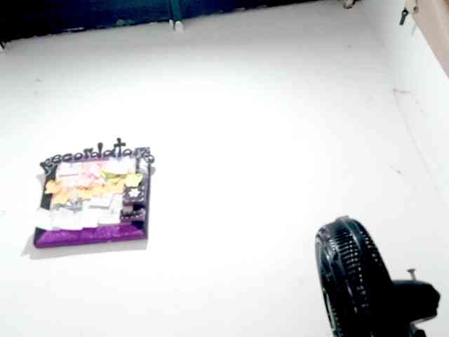 PetiteIvoryqueens webcam