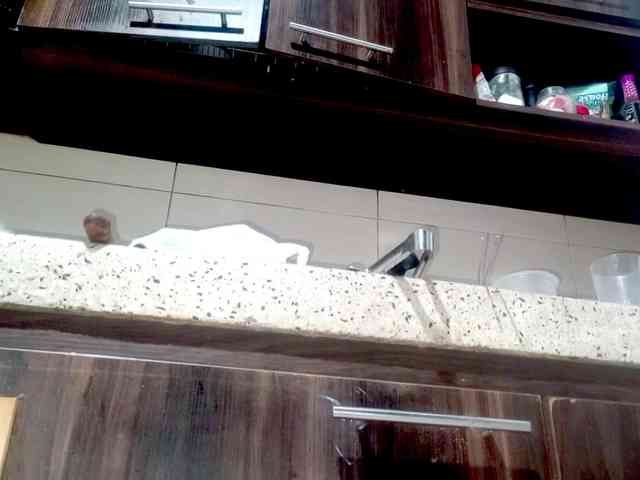 PetiteIvoryqueens webcam