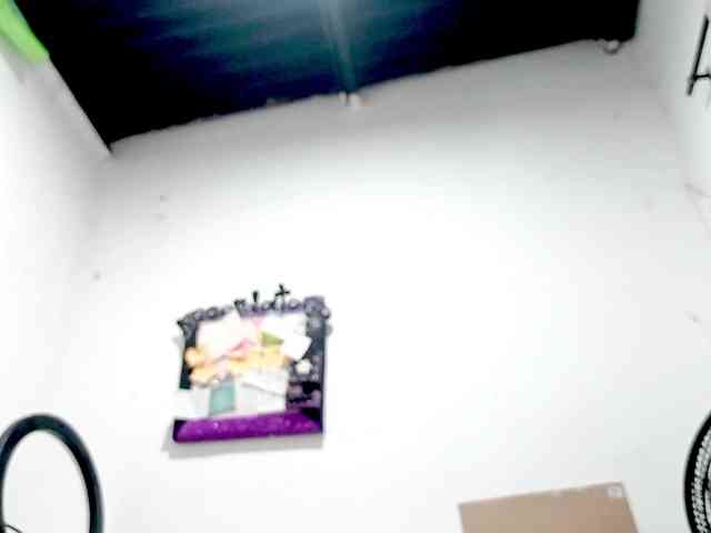 PetiteIvoryqueens webcam