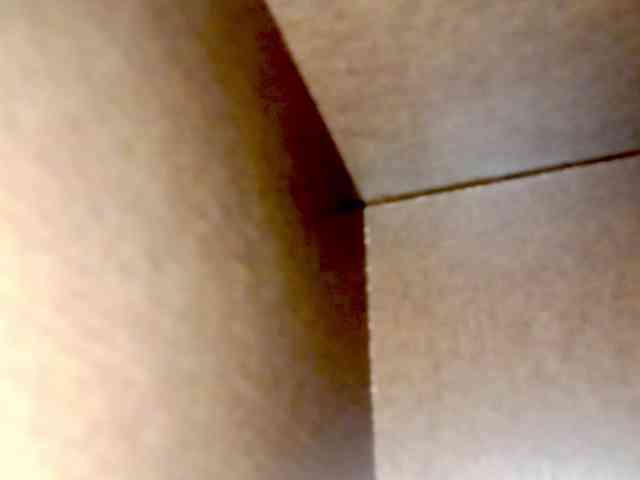 PetiteIvoryqueens webcam